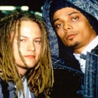 Biography Bomfunk Mc`s