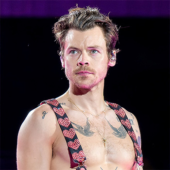 Biography Harry Styles