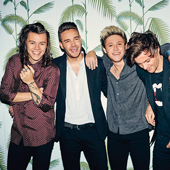 Biography One Direction