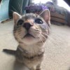 User_16013