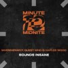 Cover WHOWHENWHY, Guest Who & Haylee Wood - Sounds Insane (Extended Mix) WHOWHENWHY, Guest Who & Haylee Wood - Sounds Insane (Extended Mix)