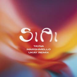 Cover Tayna & Marshmello & UKAY - Si Ai