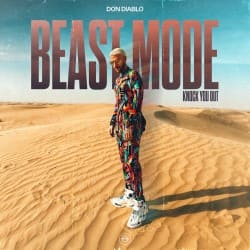 Cover Don Diablo - Beast Mode (Knock You Out)