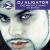 Cover DJ Aligator - The whistle song DJ Aligator - The whistle song