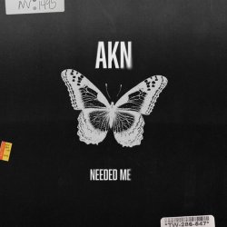 Cover AKN - Needed Me