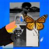 Cover Green Velvet & Jamie Jones - Butterflies Green Velvet & Jamie Jones - Butterflies