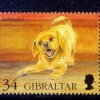 Cover Вячеслав Бутусов - Гибралтар-лабрадор Вячеслав Бутусов - Гибралтар-лабрадор