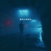 skyfall beats - balena