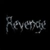 The Revenge - Every Night