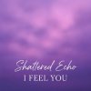 Cover Shattered Echo - I Feel You Shattered Echo - I Feel You