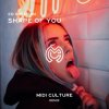 Cover Ed Sheeran - Shape Of You Ed Sheeran - Shape Of You