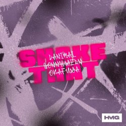 Cover Danimal & Sonny Wern - Shake That