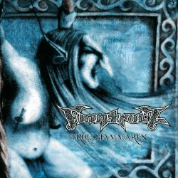 Cover Fintroll - Trollhammaren