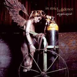 Cover In Strict Confidence - Engelsstaub (Implant Mix)
