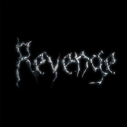 Cover The Revenge - Every Night