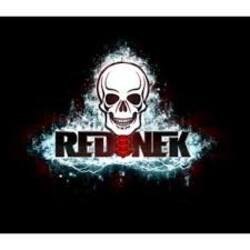 Cover Rednek - Dub Island