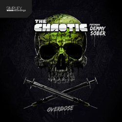 Cover The Chaotic - Project Ghost