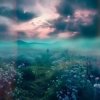 Cover skyfall beats - inner world skyfall beats - inner world