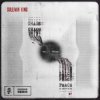 Sullivan King - CHAOS WILL BRING PEACE