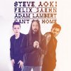 Cover Steve Aoki & Felix Jaehn feat. Adam Lambert - Can't Go Home (Radio Edit) Steve Aoki & Felix Jaehn feat. Adam Lambert - Can't Go Home (Radio Edit)