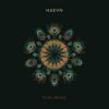 Cover HAEVN & Lily Meola - Till the Morning HAEVN & Lily Meola - Till the Morning