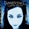 Cover Evanescence - Tourniquet Evanescence - Tourniquet