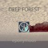 Cover Deep Forest - Night Bird Deep Forest - Night Bird