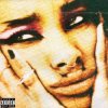 Cover Willow - Lipstick Willow - Lipstick
