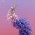 Cover Flume - 3