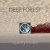 Cover Deep Forest - Night Bird