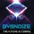 Cover GYSNOIZE - No Time to Thinks