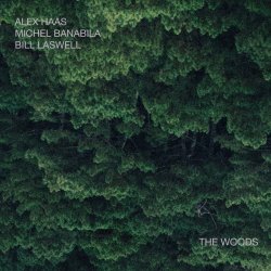 Cover Bill Laswell - Outer Woo