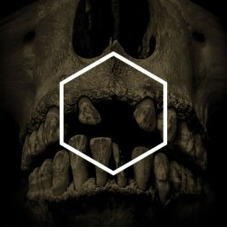 Cover Lustmord - Insignificance