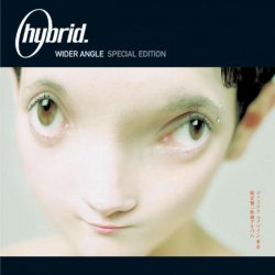 Cover Hybrid - Make A Move