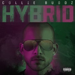 Cover Hybrid - Break My Soul