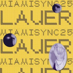 Cover Lauer - Volpi Polari