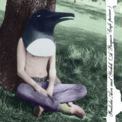 Cover The Penguin Cafe Orchestra - TBeanfields