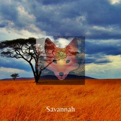Cover Savannah - Day After Day & Night