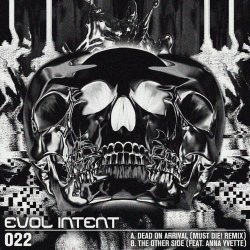 Cover Evol Intent feat. Anna Yvette - The Other Side