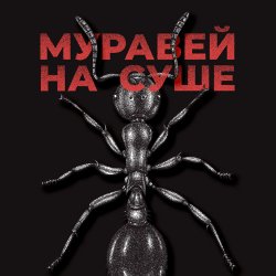 Cover KRBK - Муравей на суше
