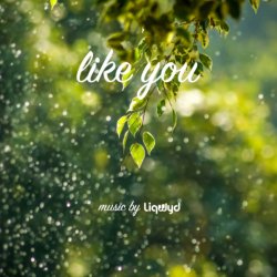 Cover LiQWYD - Like You