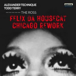 Cover Felix Da Housecat - What Does It Feel Like