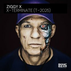 Cover Ziggy X - Connexion