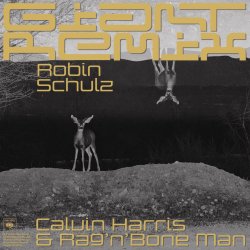 Cover Robin Schulz - Intro