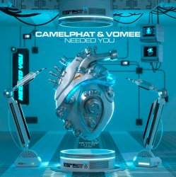 Cover CamelPhat & Vomee - Needed You