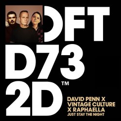 Cover David Penn & Raphaella & Vintage Culture - Just Stay The Night