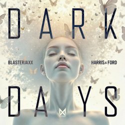 Cover BlasterJaxx - Koala