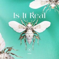 Cover Kabo - Is It Real (Extended Mix)