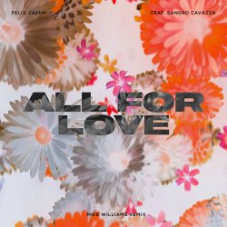 Cover Felix Jaehn feat. Sandro Cavazza - All For Love (Mike Williams Remix)