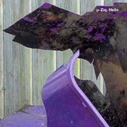 Cover U-Ziq - Mushroom Compost